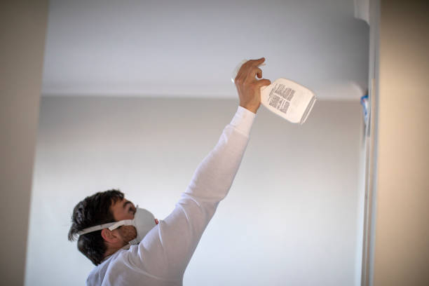 Best Mold Remediation  in Vonore, TN