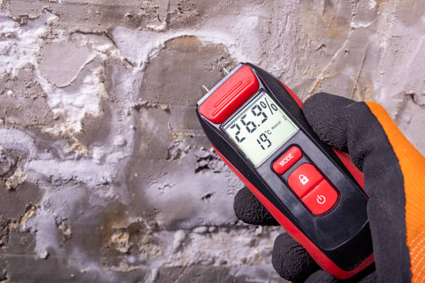 Attic Mold Removal in Vonore, TN