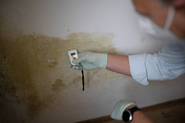 Water Damage Restoration in Vonore, TN