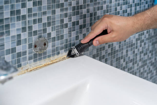 Best Certified Mold Removal  in Vonore, TN