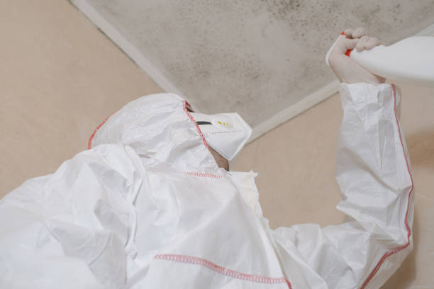 Crawl Space Mold Removal in Vonore, TN